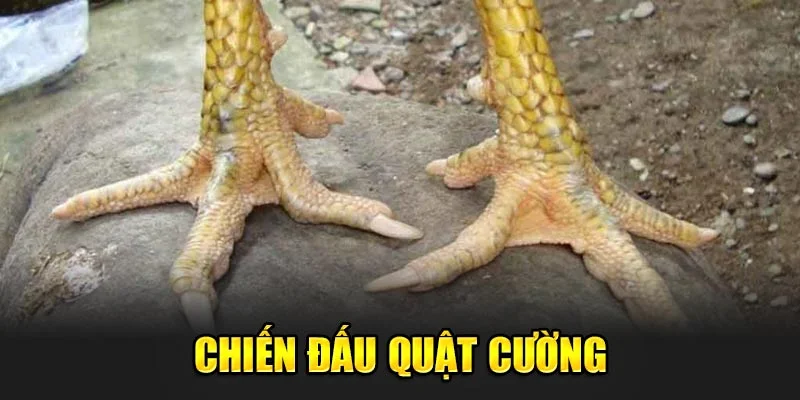 Chiến đấu quật cường và di chuyển linh hoạt