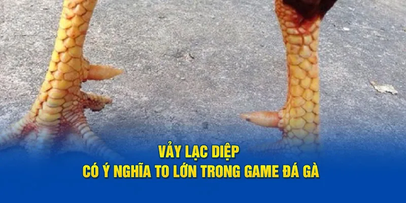 Vảy Lạc Diệp có ý nghĩa to lớn trong game đá gà